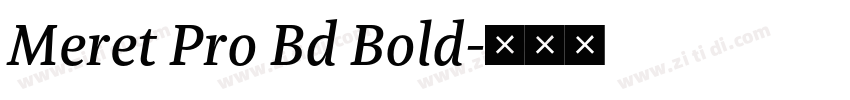 Meret Pro Bd Bold字体转换